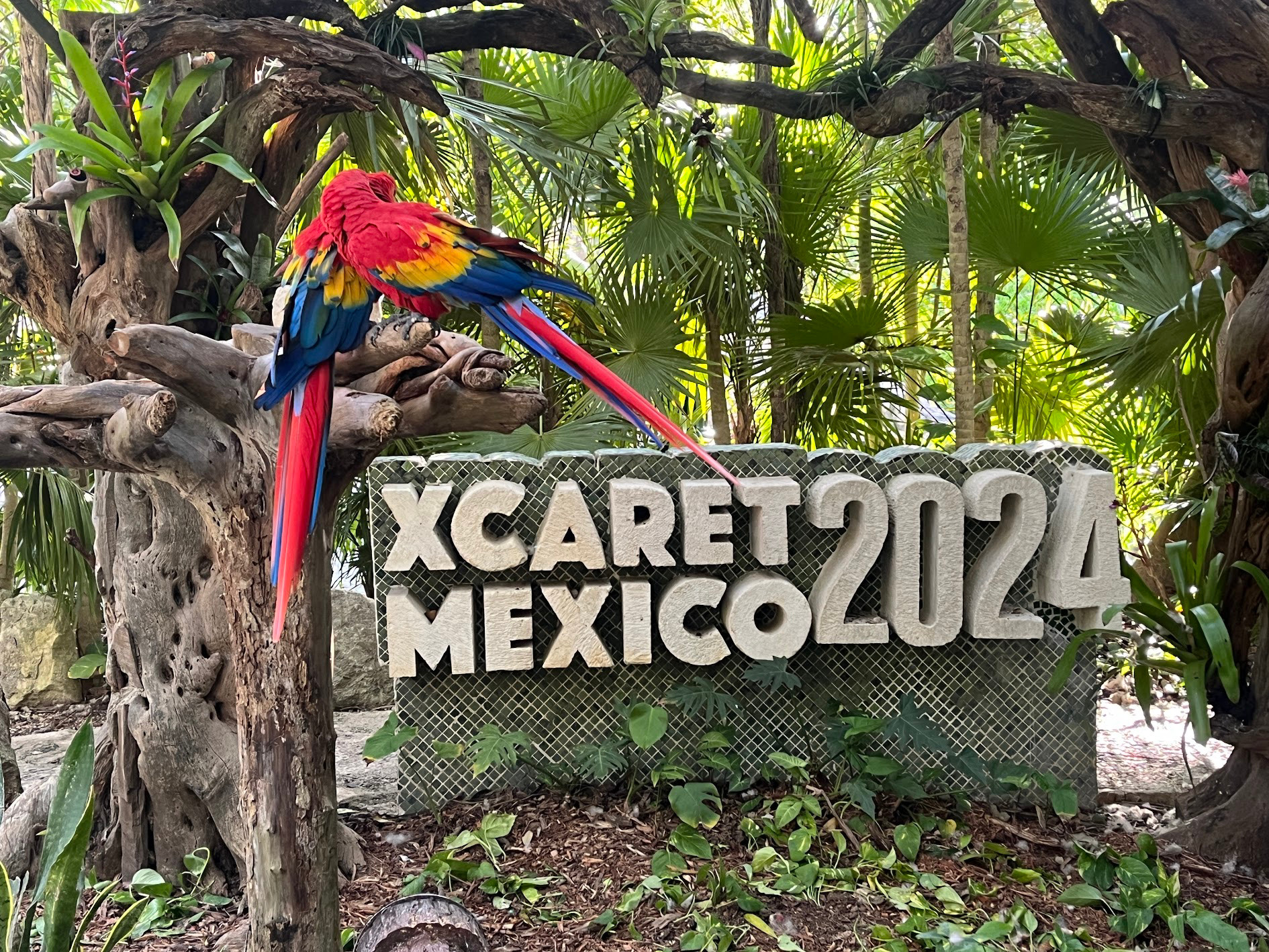 xcaret macaw sign