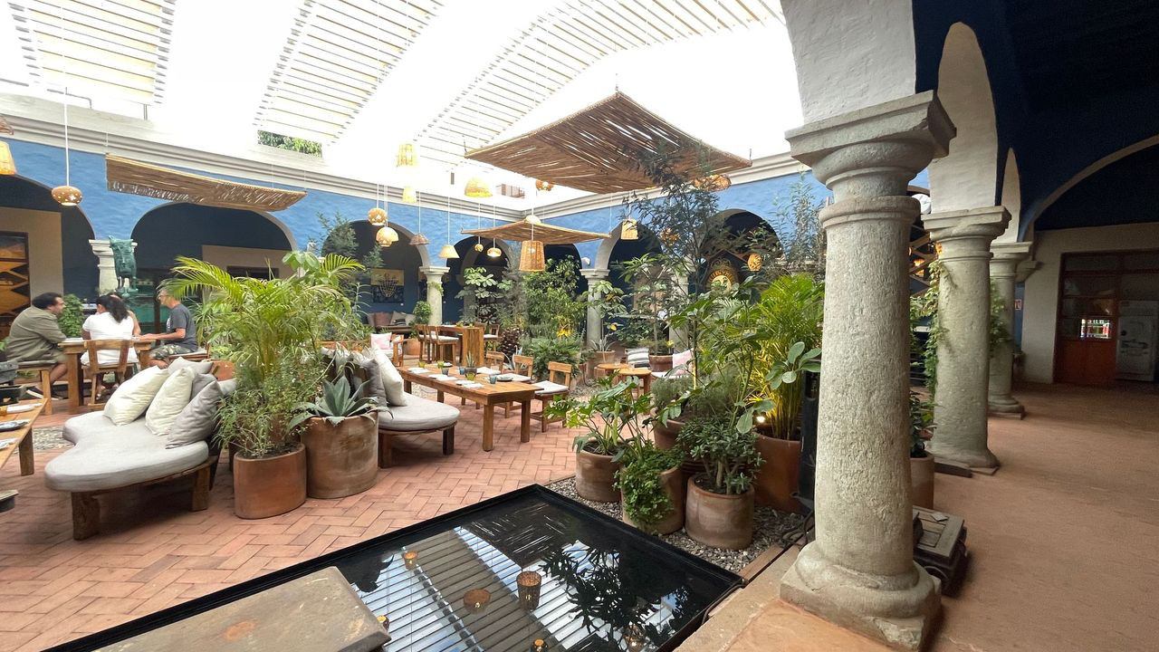 oaxaca mezcal tasting court