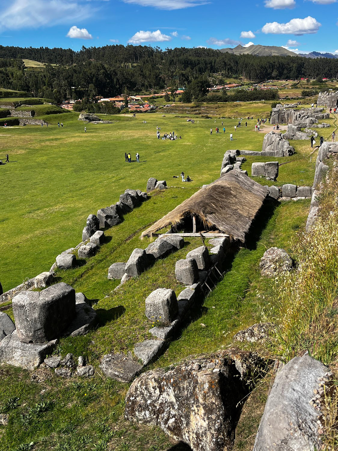 saks waman straw roof