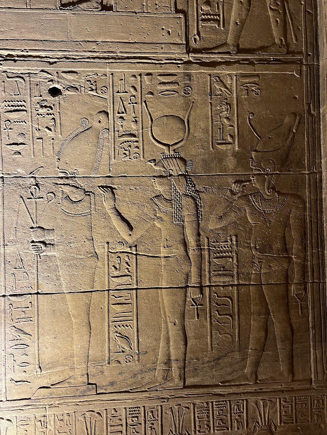 phila temple trinity