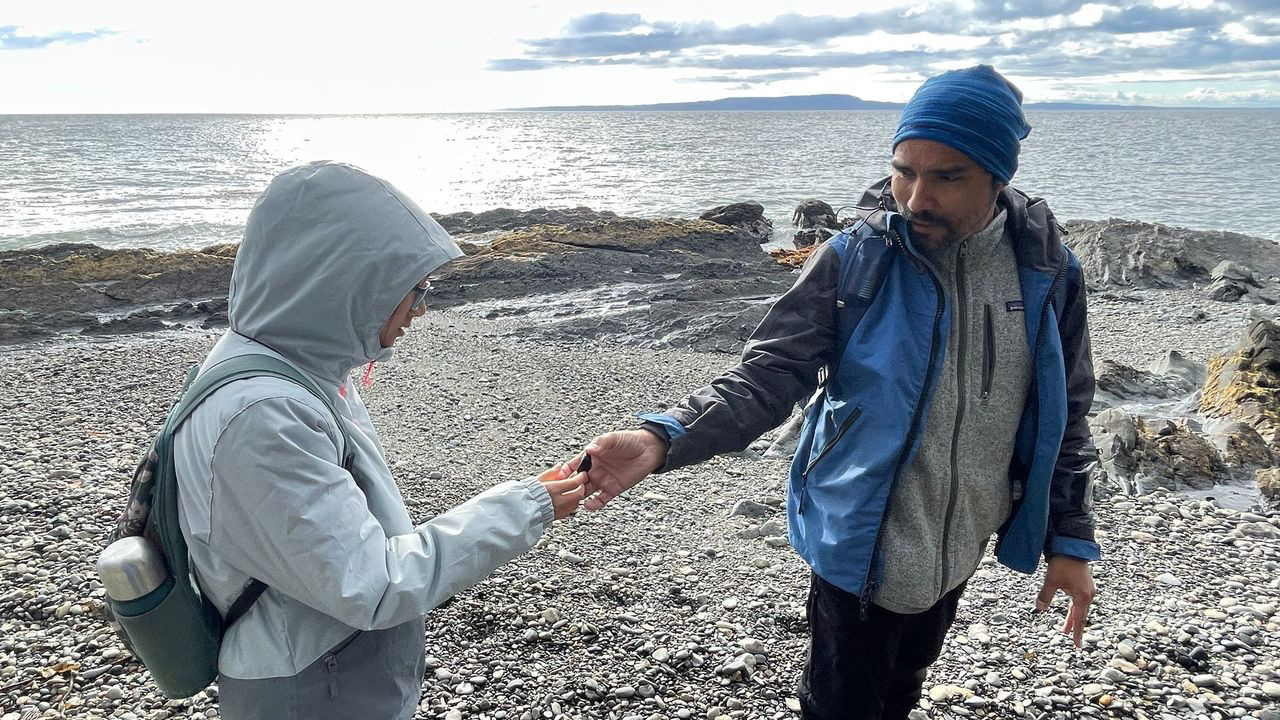 punta arenas guide shell