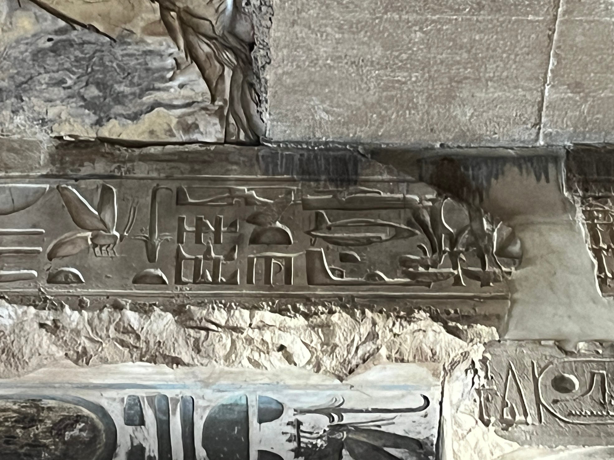 abydos spaceship