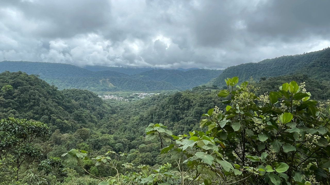 mindo farm viewpoint