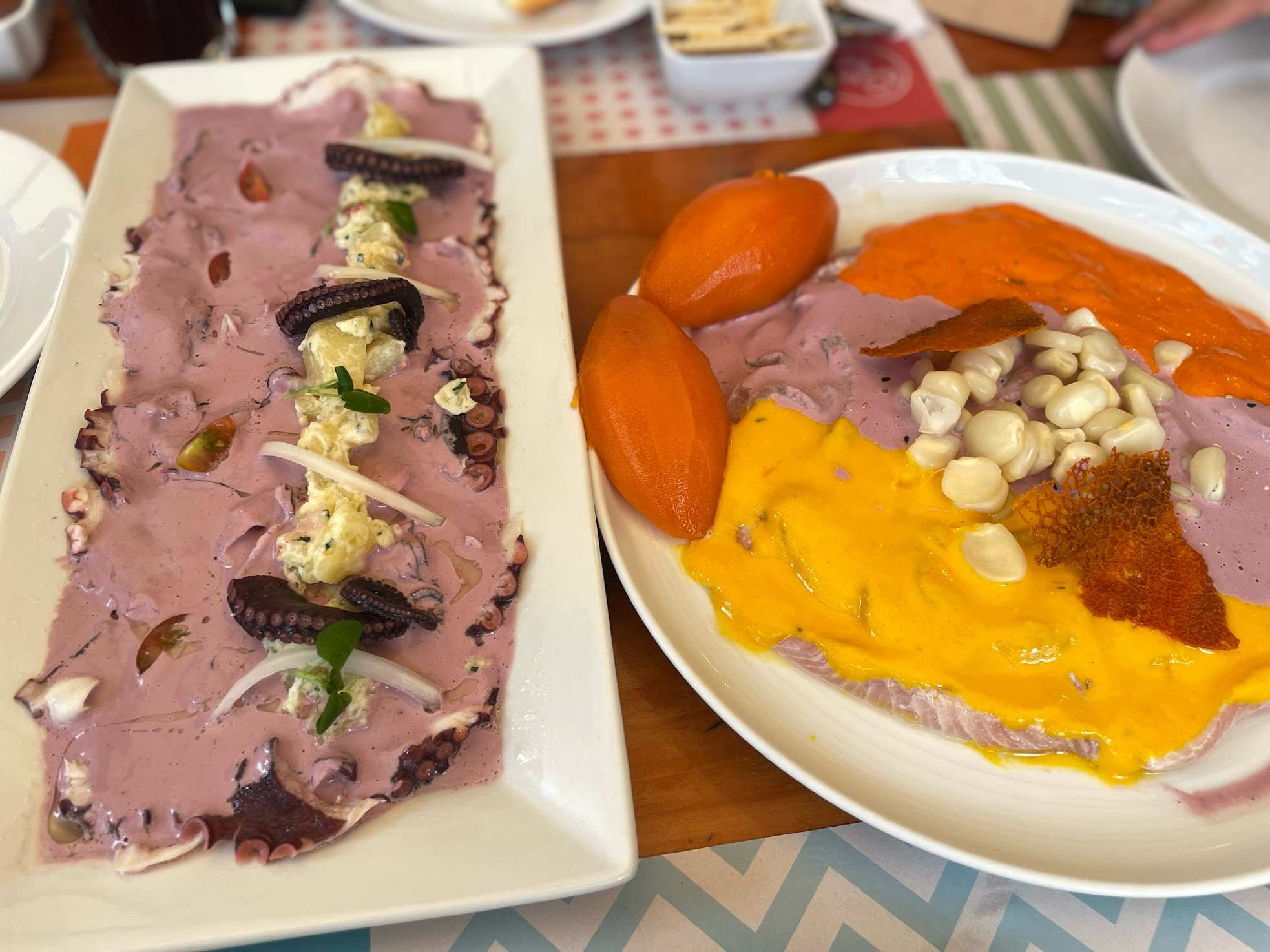 Lima Miraflores ceviche
