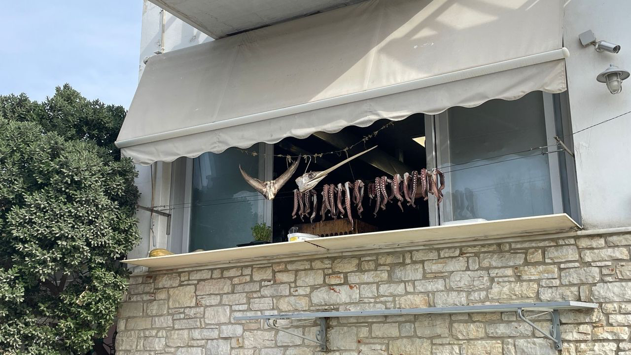 paros dry octopus