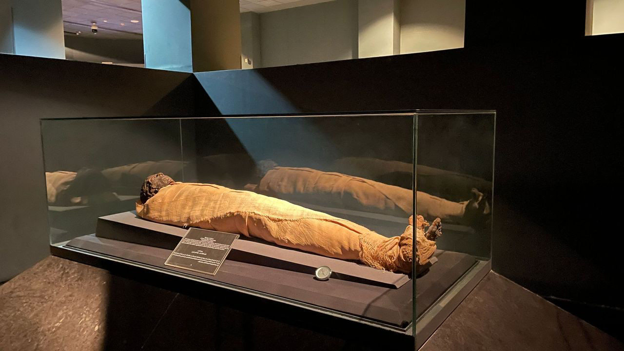 luxor museum mummy