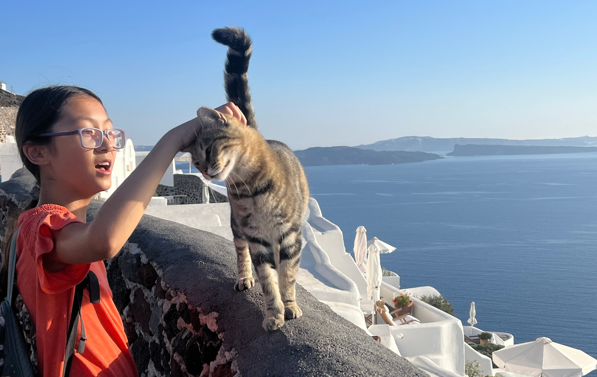 santtorini hiking cat