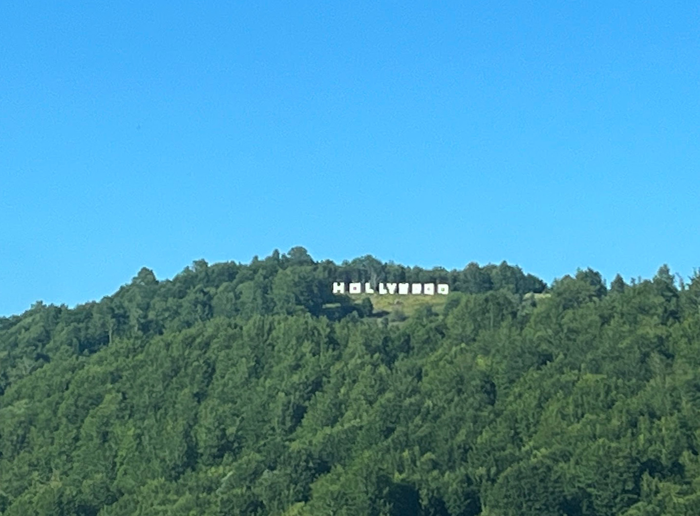 montenegro hollywood
