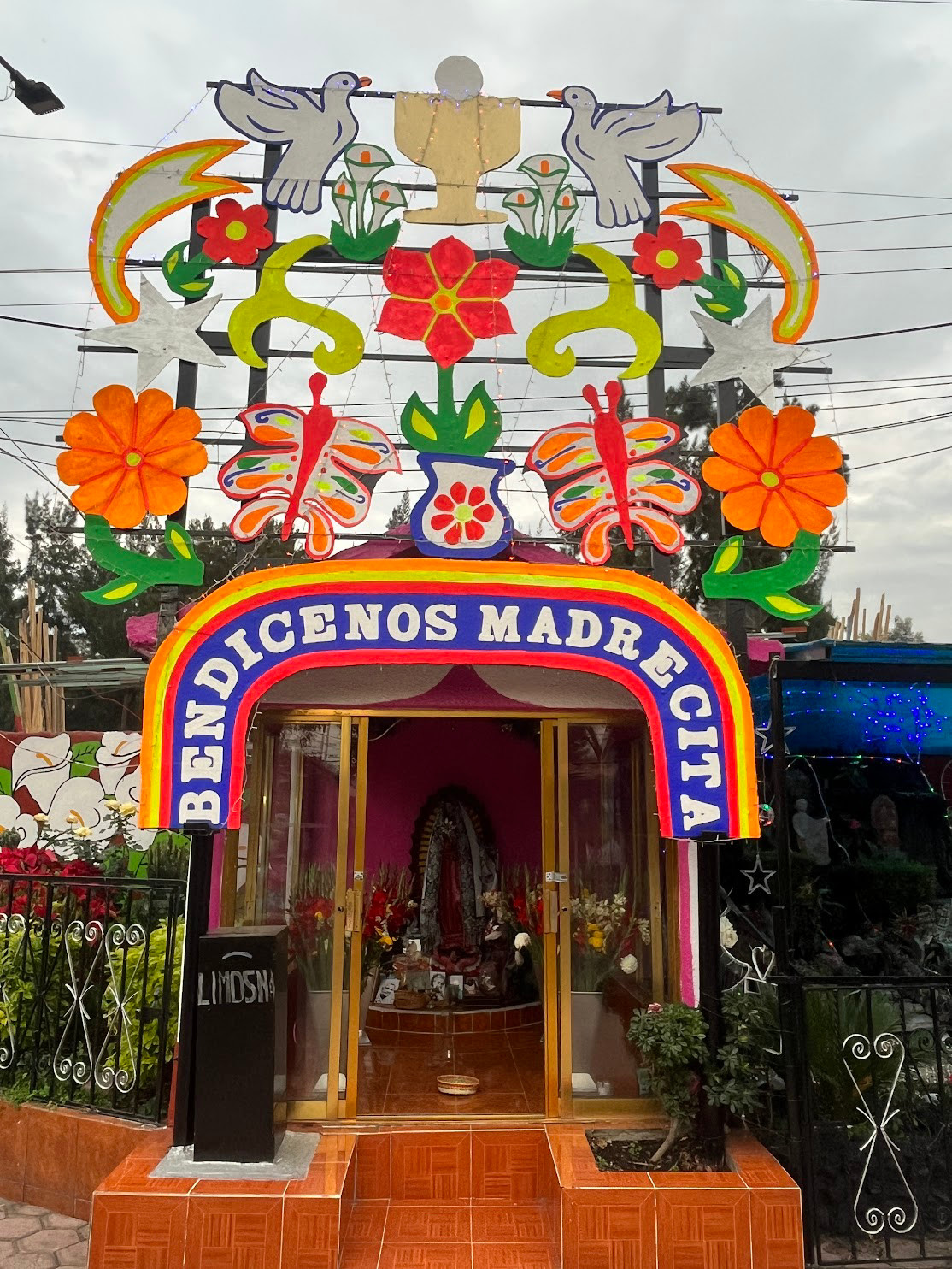 oxchimilco bienvenido