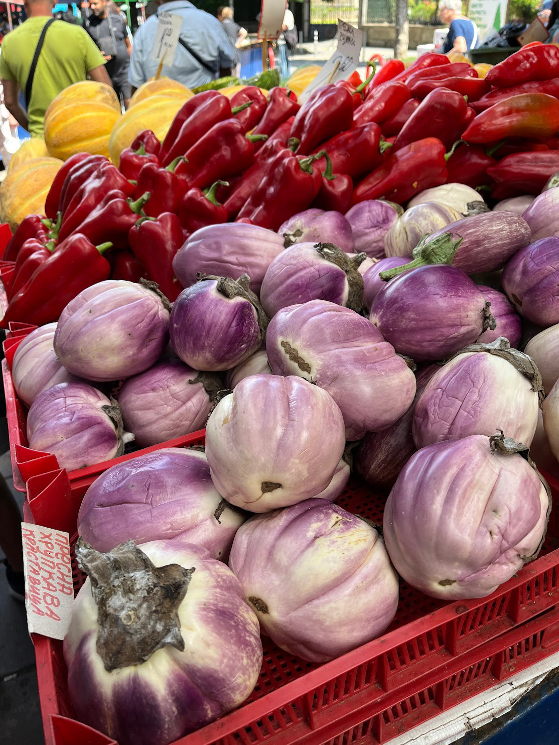 sofia market veggie
