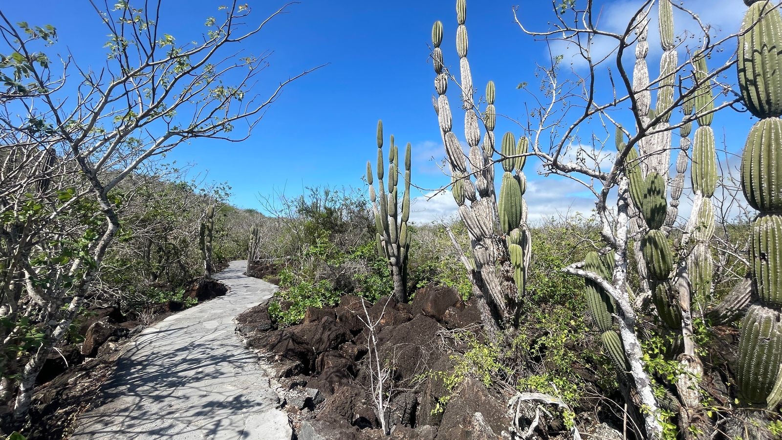 cerro tijereta path
