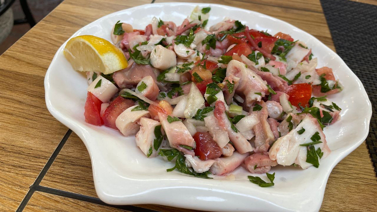 herceg novi squid