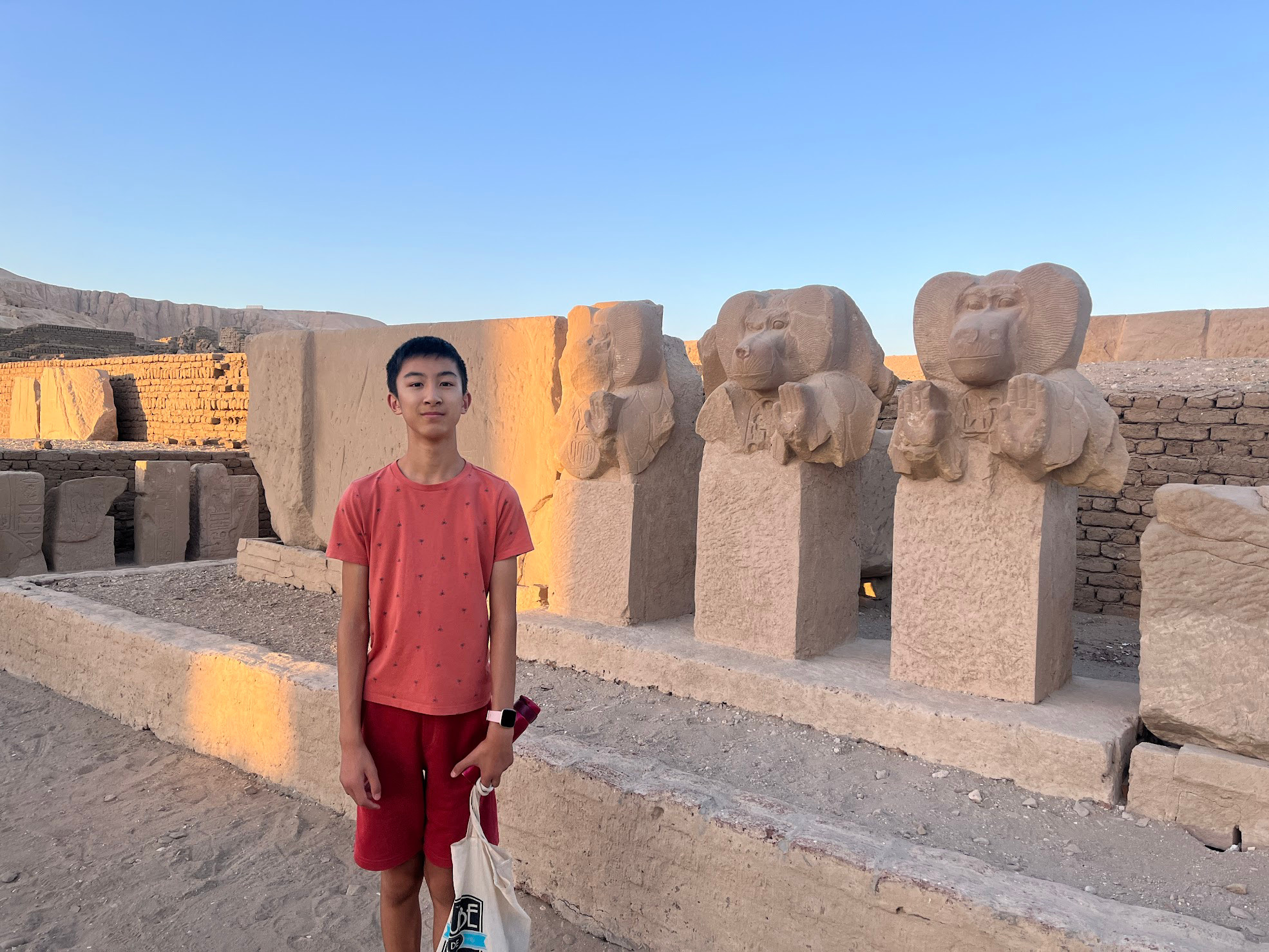 luxor ramsseum baboons