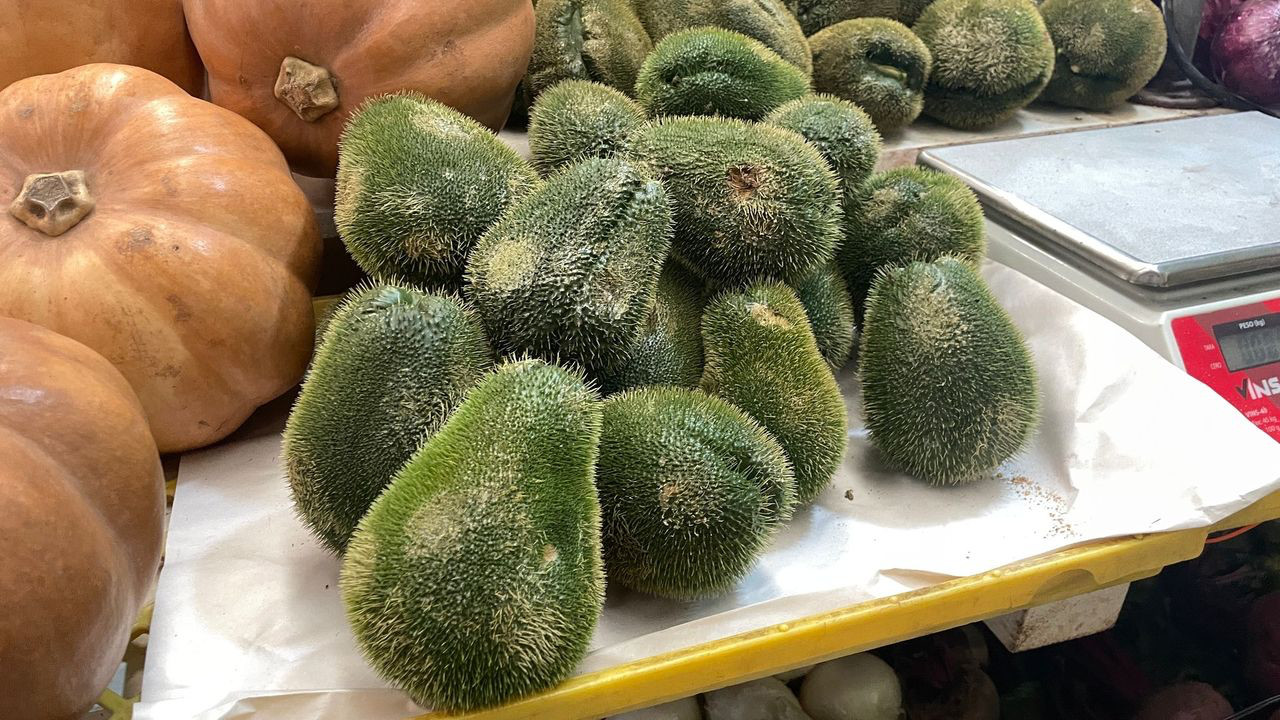 cdmx chayote