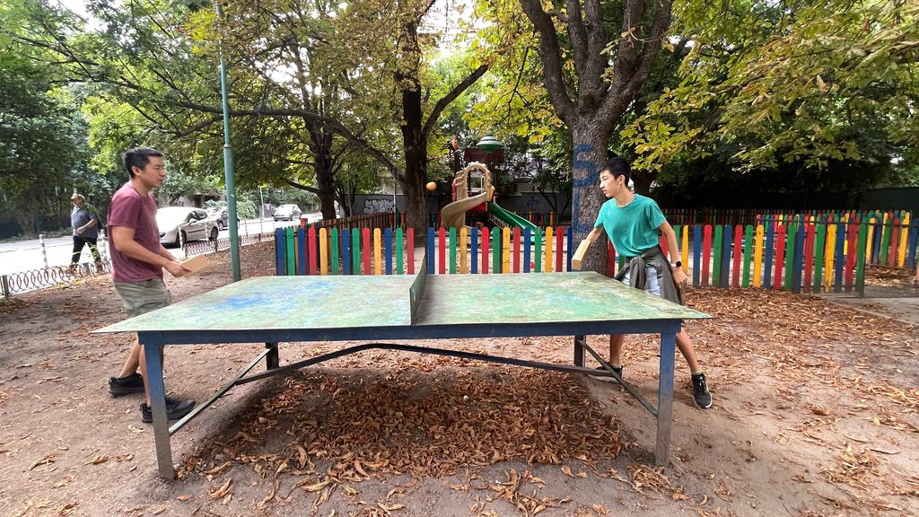 sofia cardboard table tennis