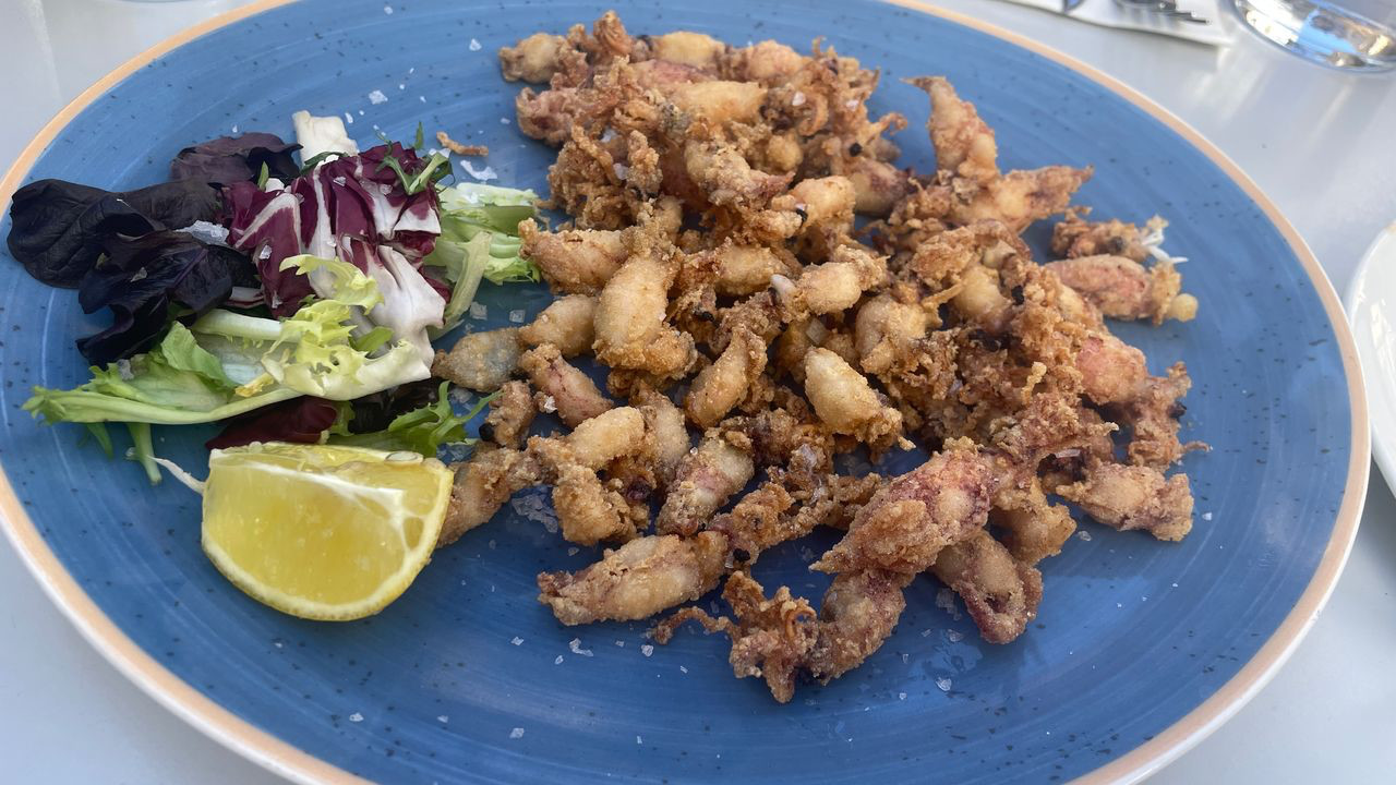 jerez fried squid