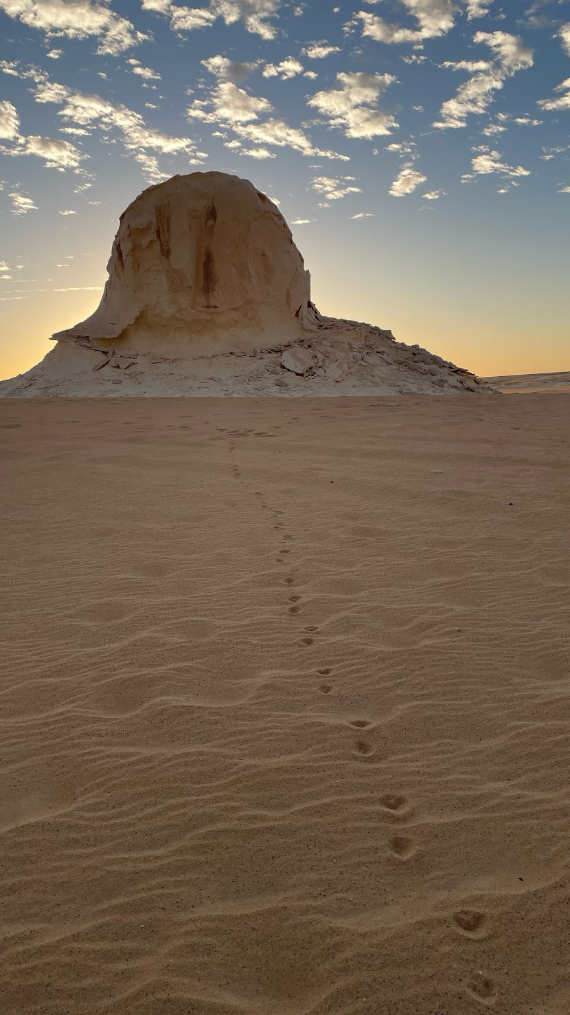 desert foot print