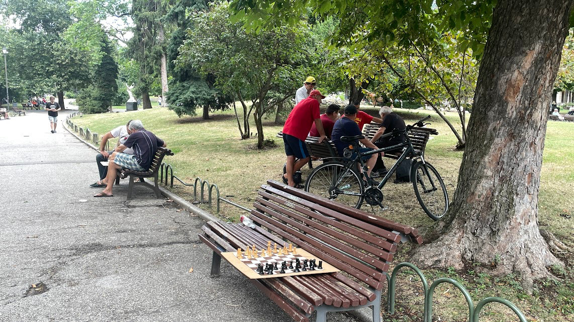 sofia park chess
