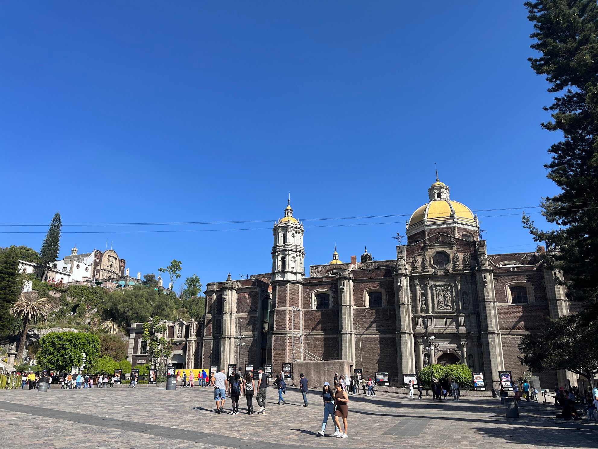 cdmx guadalupe cathedral old