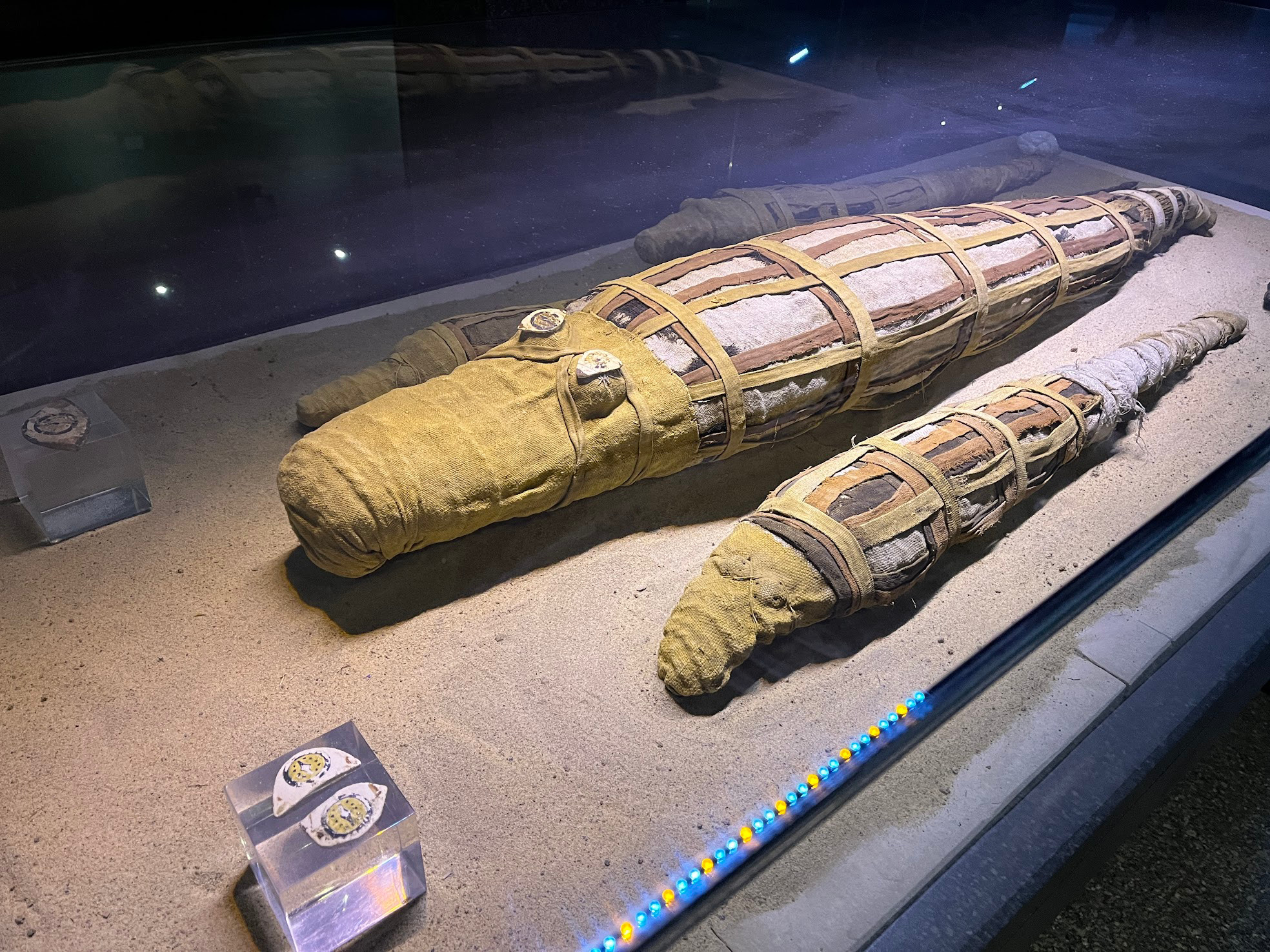 kom ombo croc mummy1