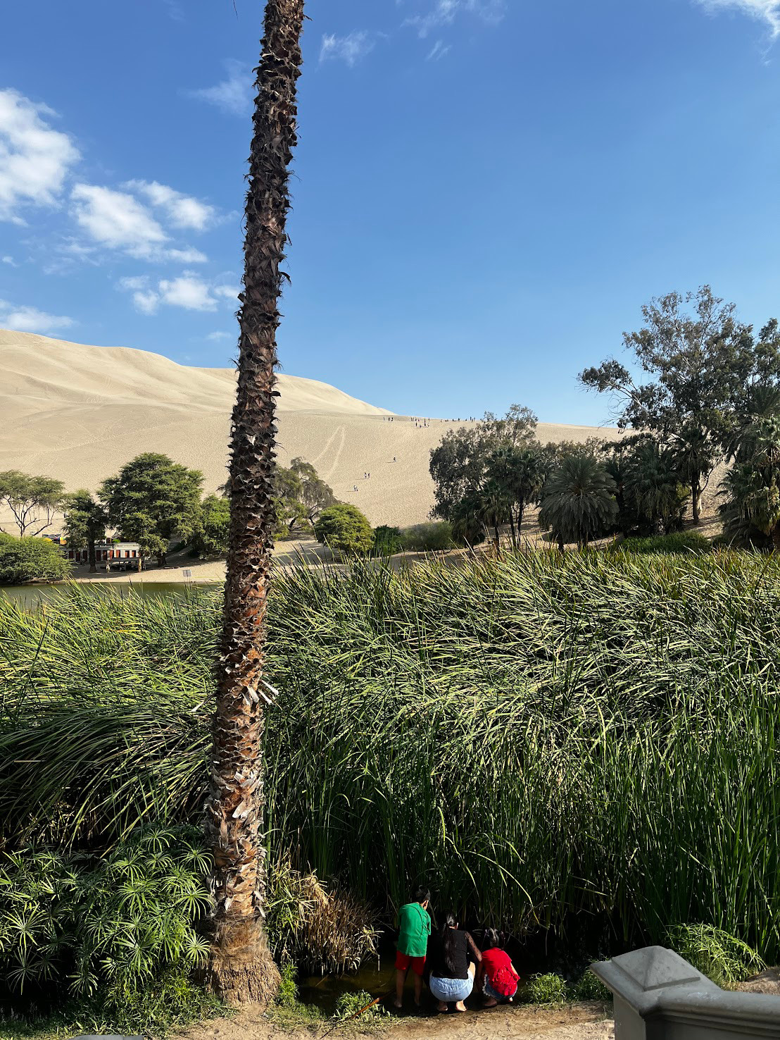 Oasis Huacachina kids