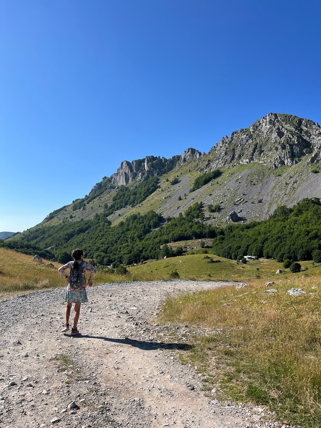 road to Bukumirsko jezero