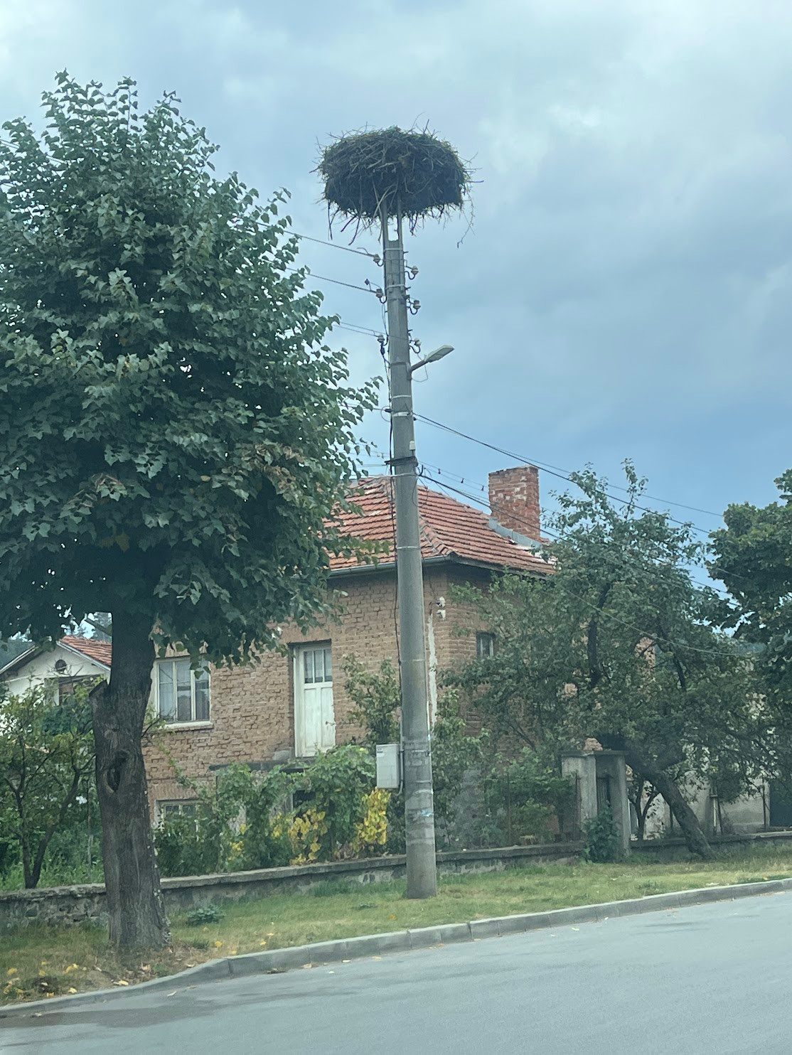bulgaria stork nest