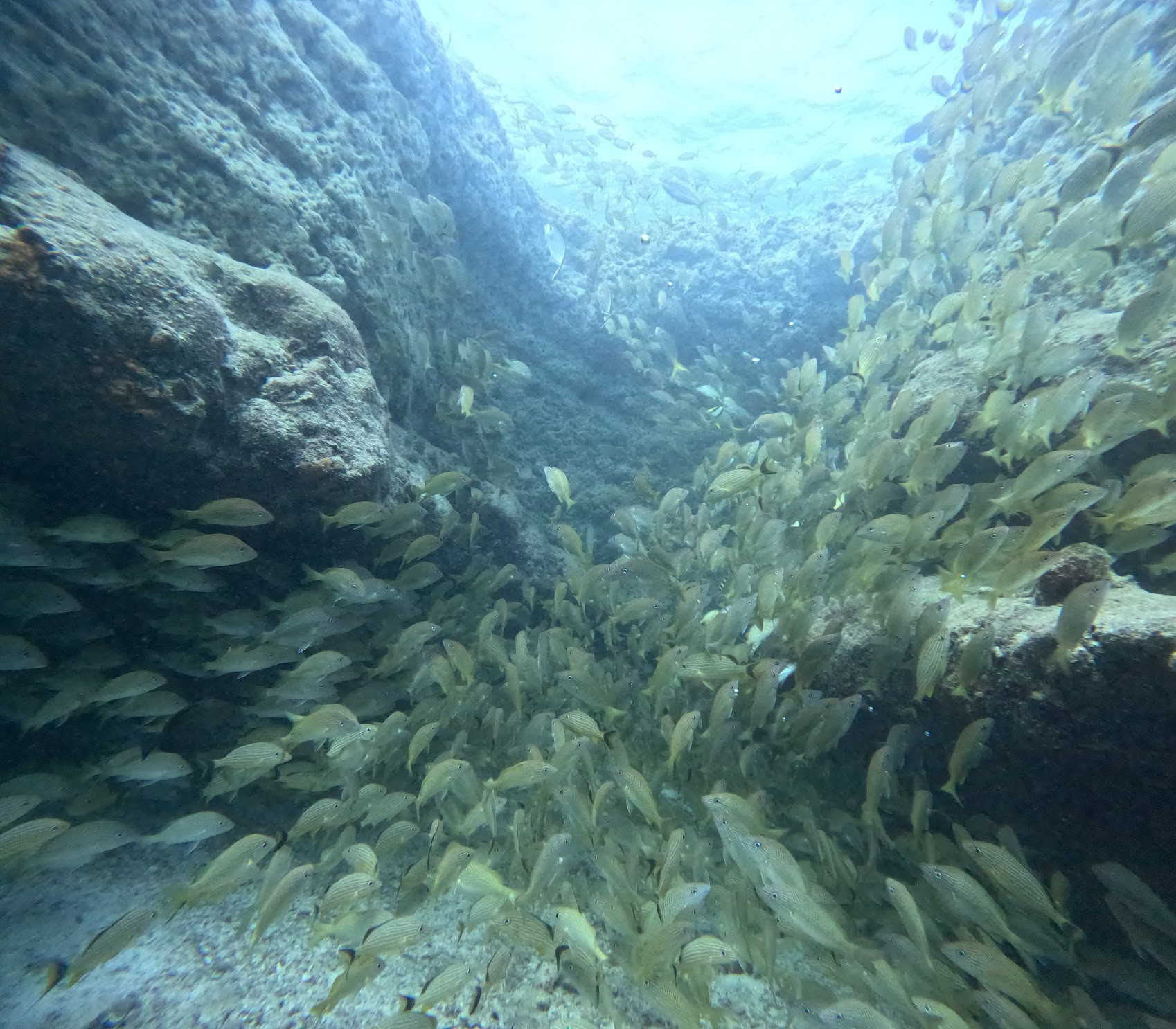 cancun shipwreck