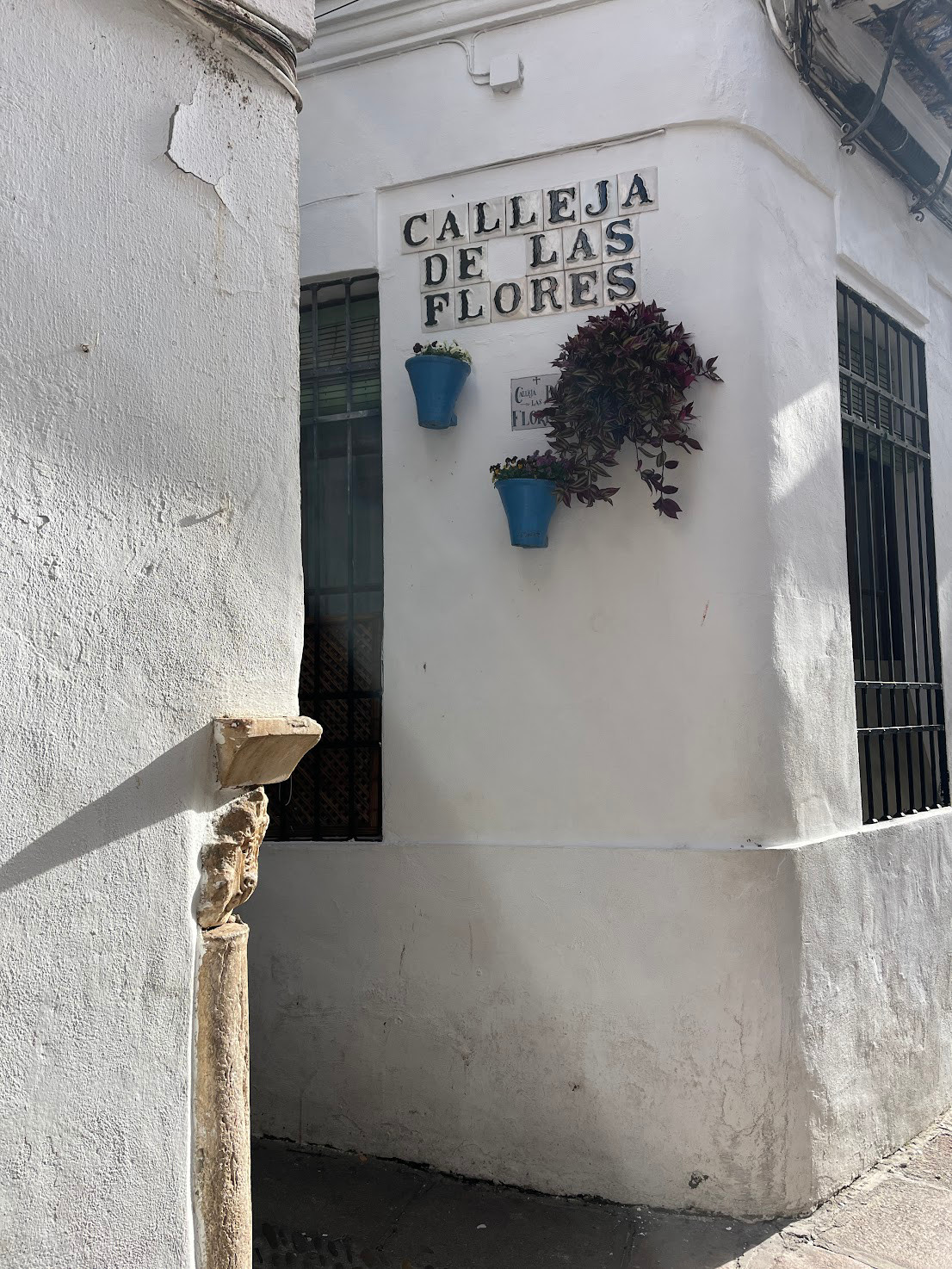 cordoba calle de flores