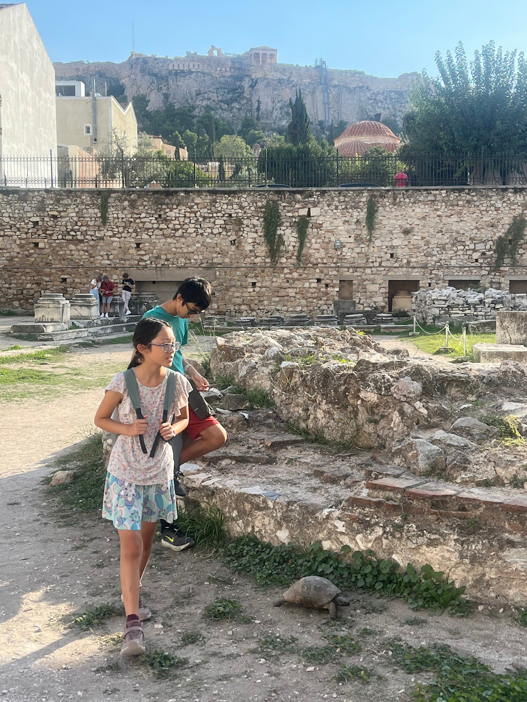 athens hadrian library turtle