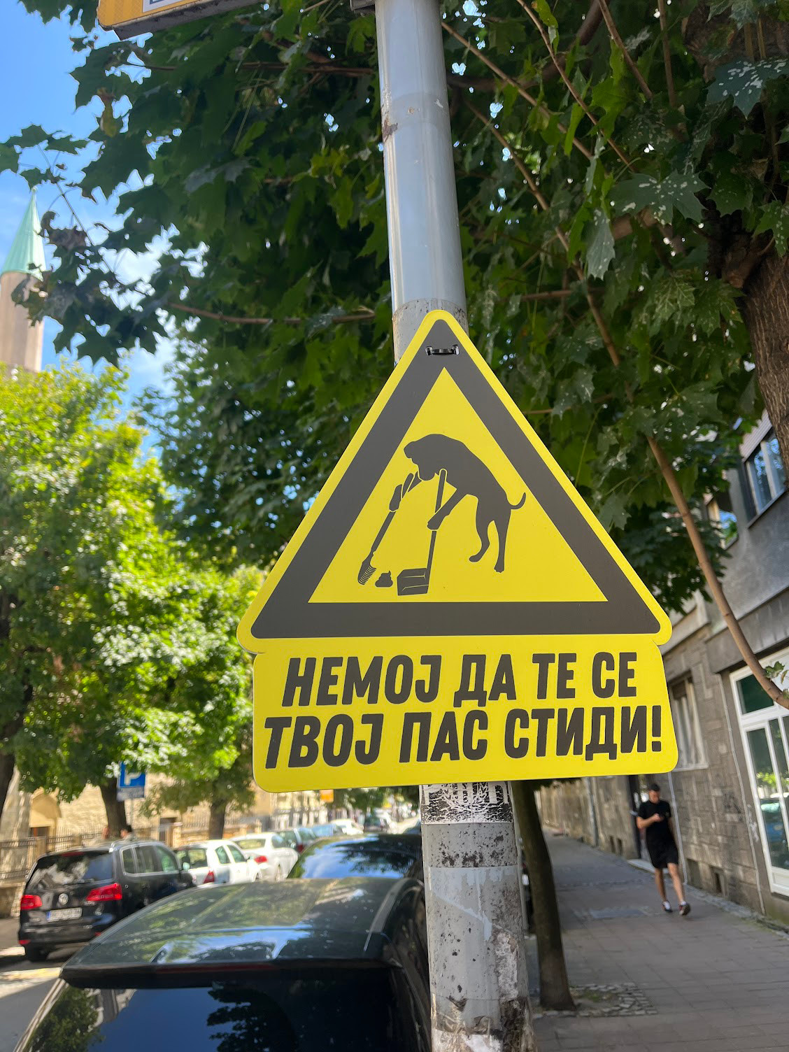 belgrade dog shit sign