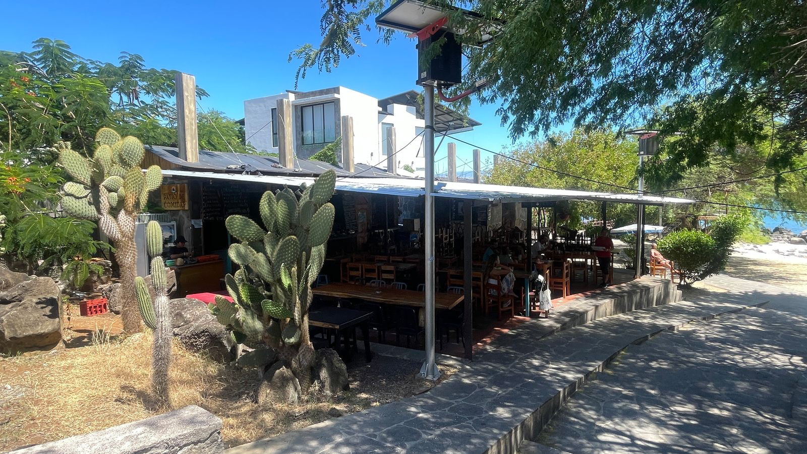 playa mann eatery
