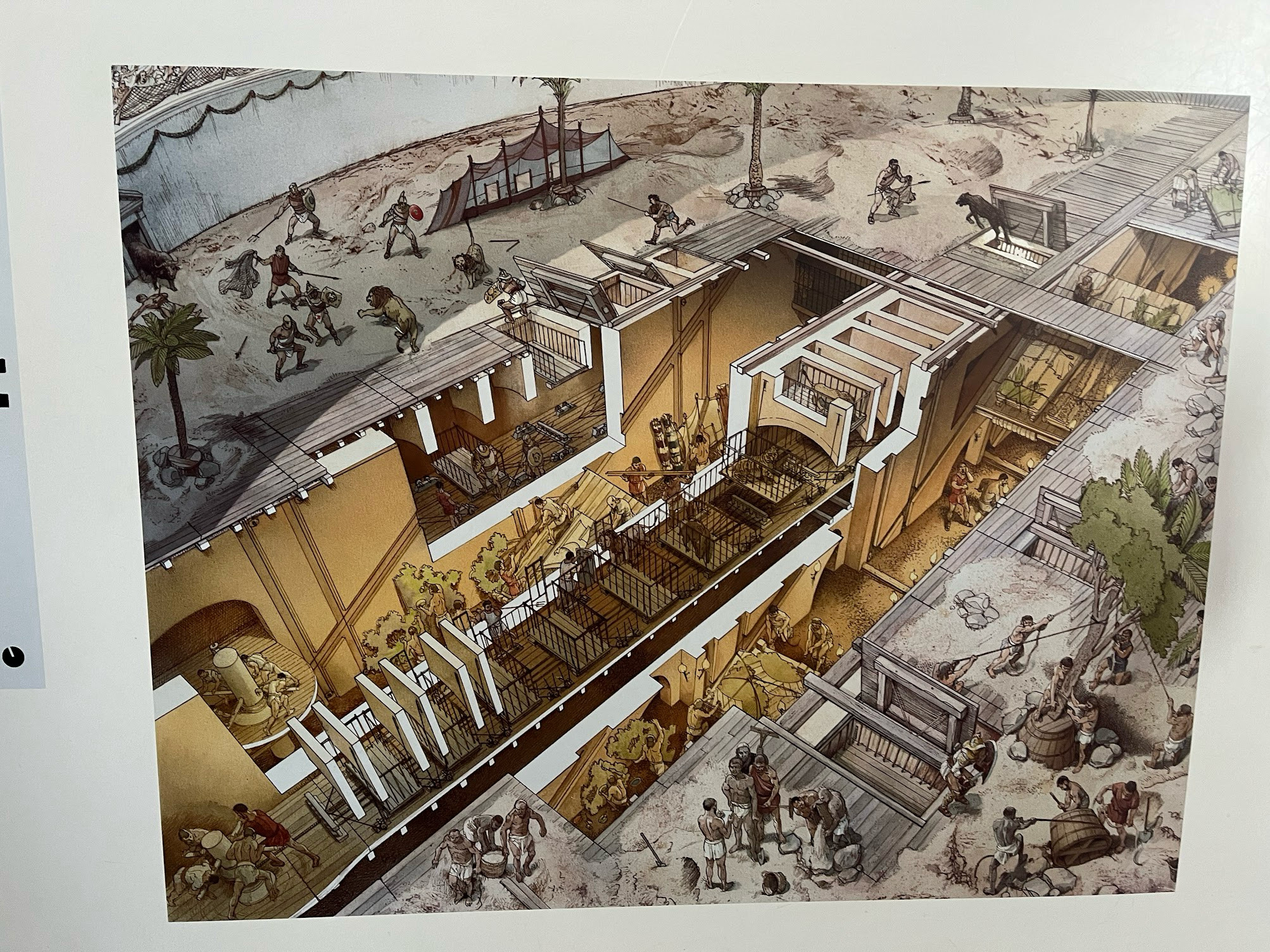 colloseum illustration