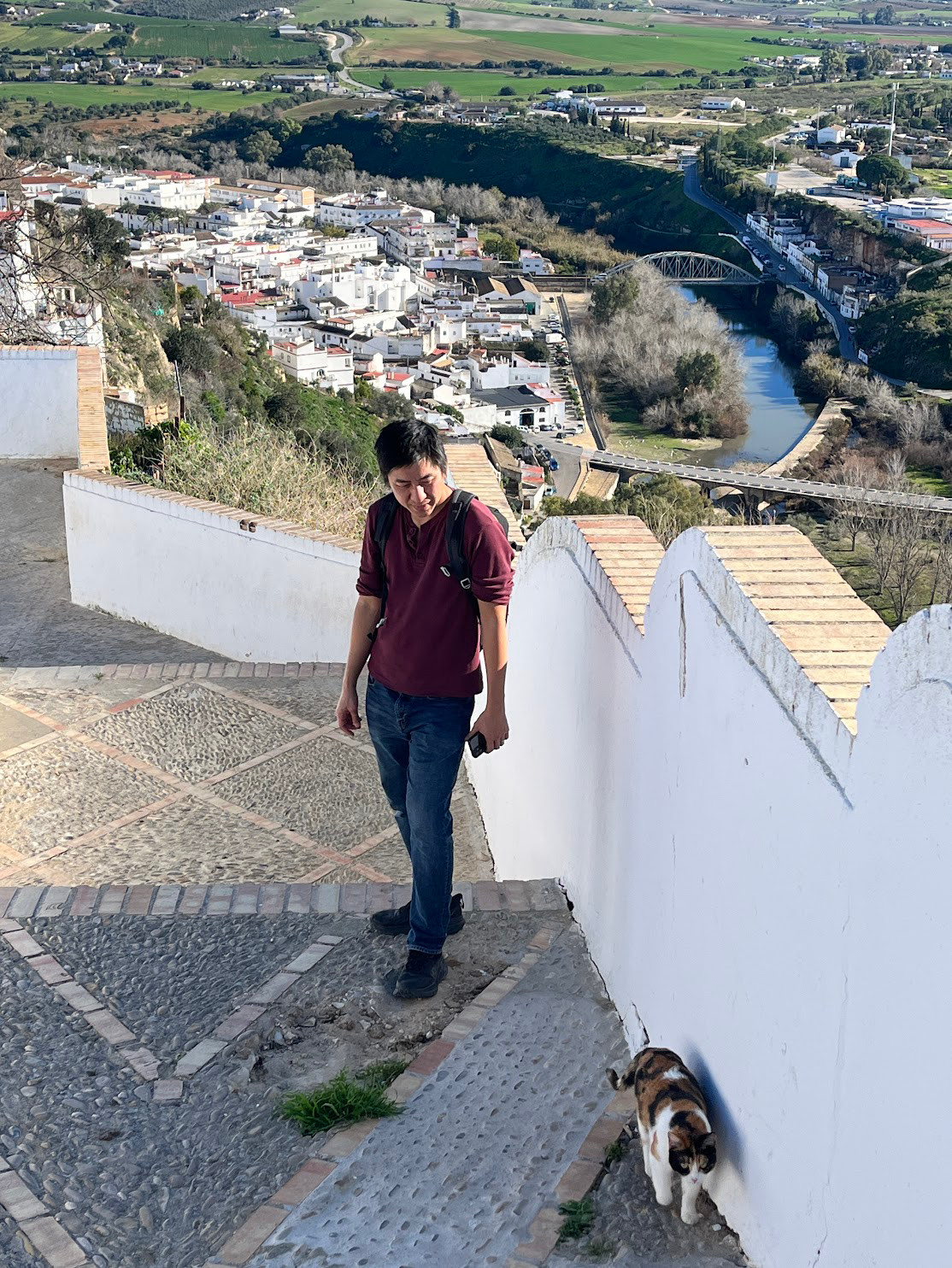 arcos tony and cat