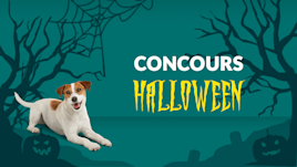 Fido XTRA this week: Halloween
