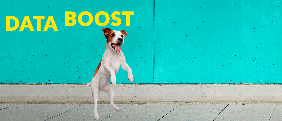A small dog jumping in excitement.