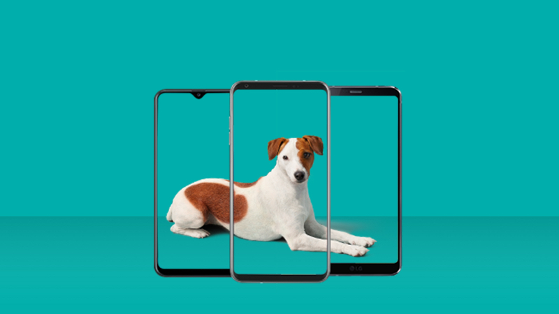 certified pre-owned phones