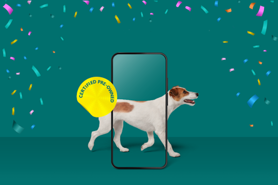 Fido 2024 phone offers
