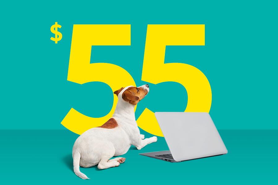Image of Fido Home Internet 150u offer