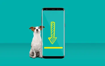 Help Support Fido