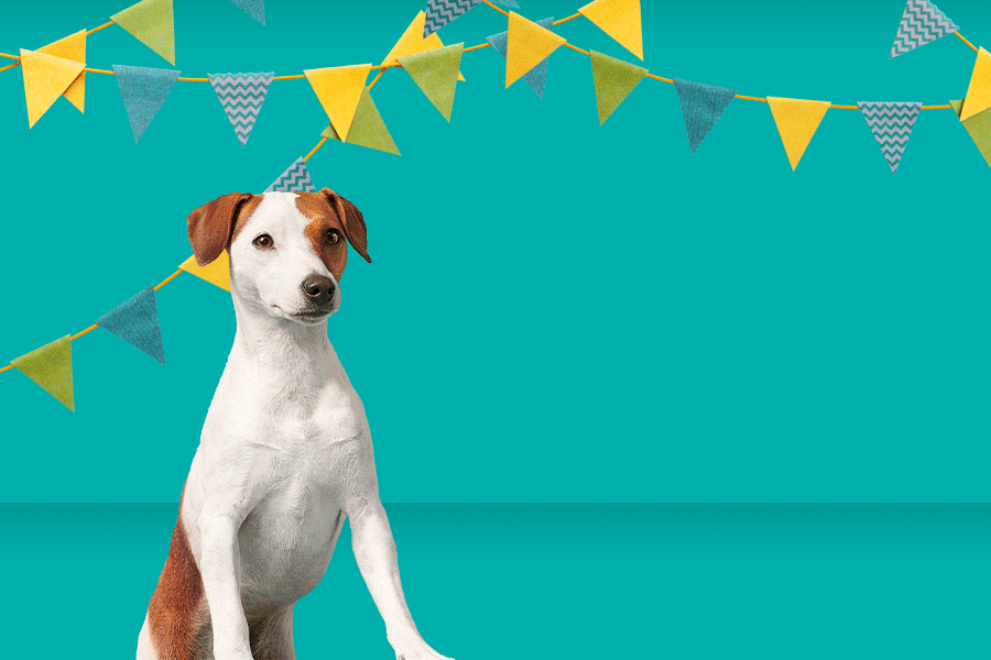 This week's Fido XTRA: Frank & Oak