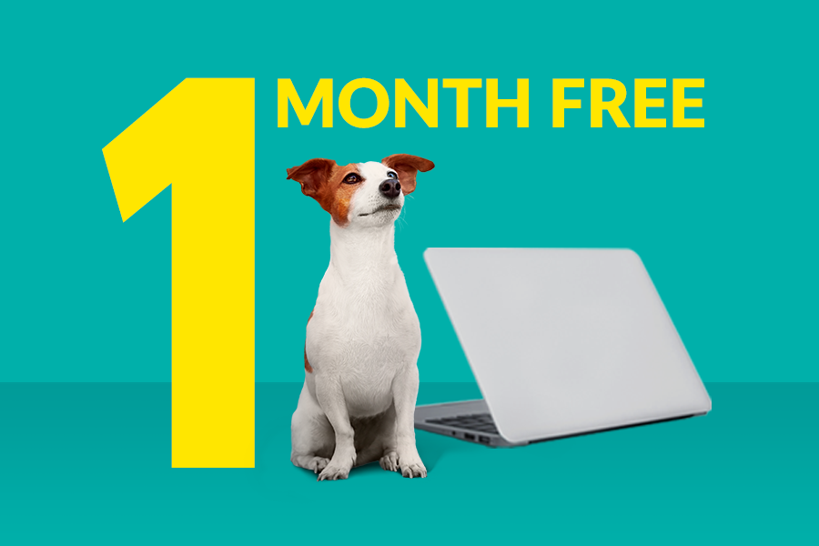  Fido 30u residential Internet service offer for 1 month free