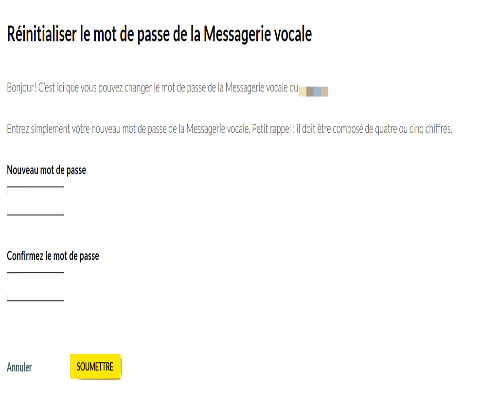 support-voice-messaging-reset-password-step4-fr