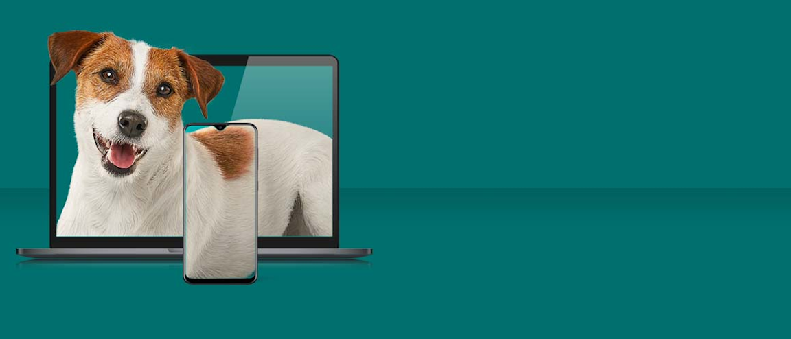 GET MORE FOR LESS AND SAVE UP TO $ 35 ON RESIDENTIAL INTERNET