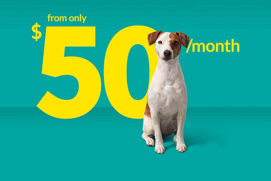 fido current promotions