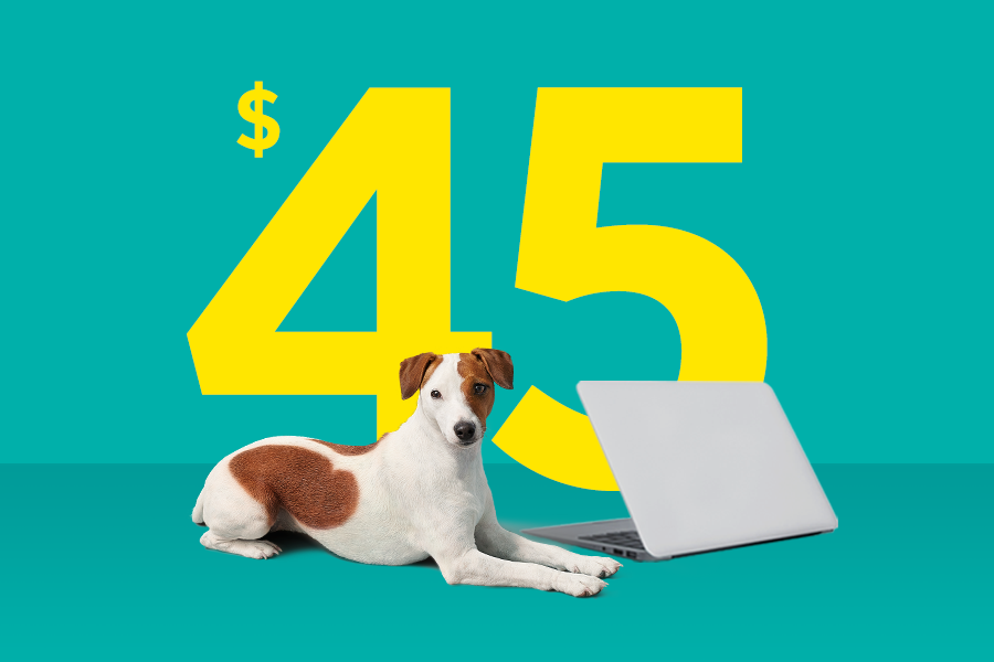 Image of Fido Home Internet 75u offer