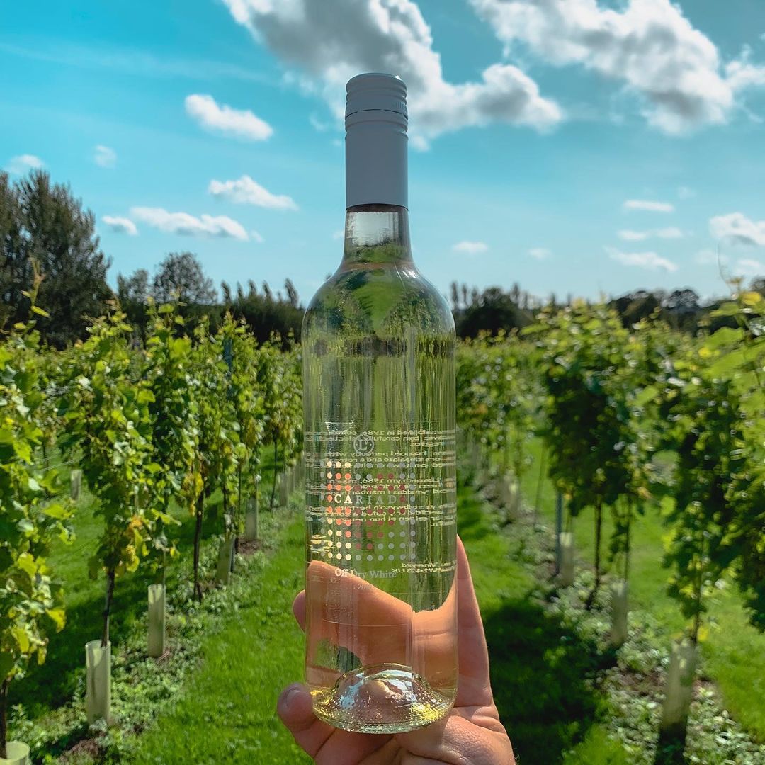 The World of Wine Report | money.co.uk