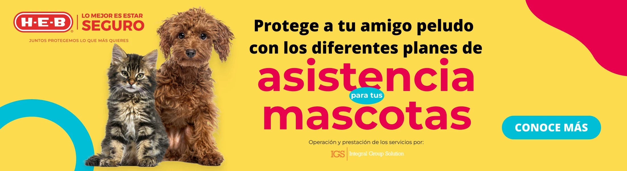 Asistencia para tus mascotas - Imagen Desktop