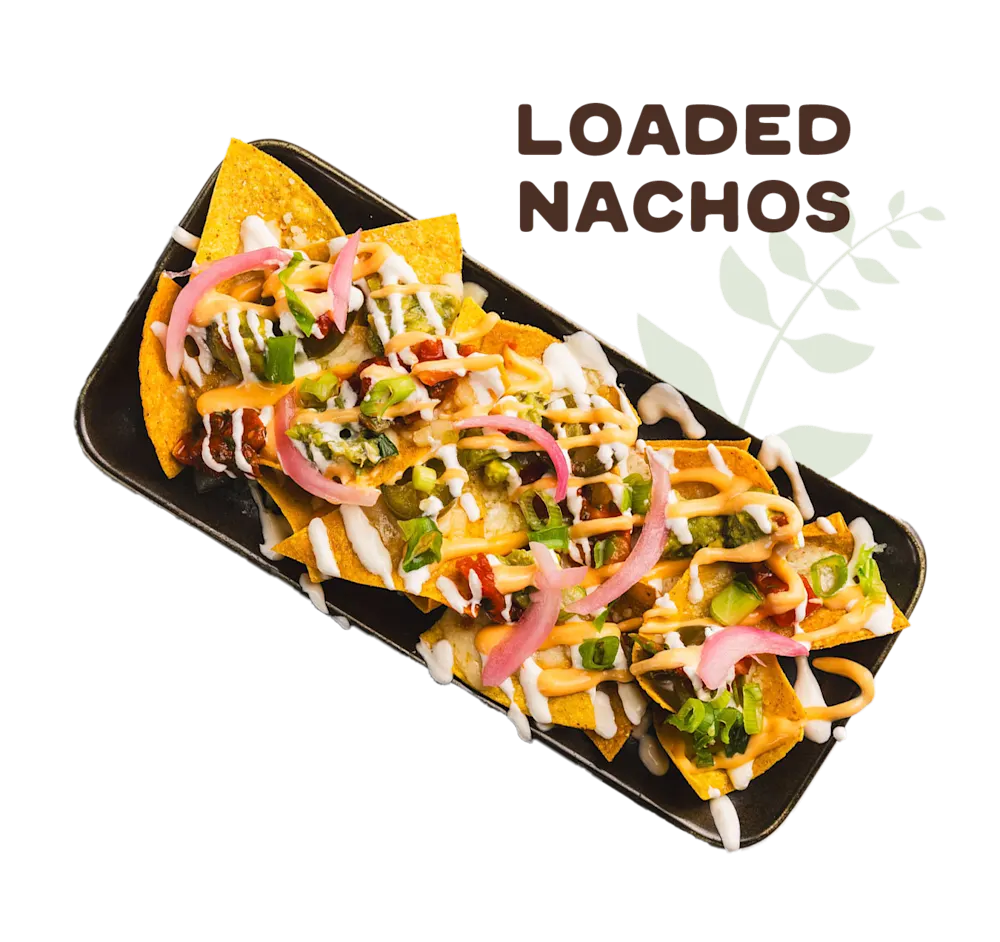 Loaded nachos