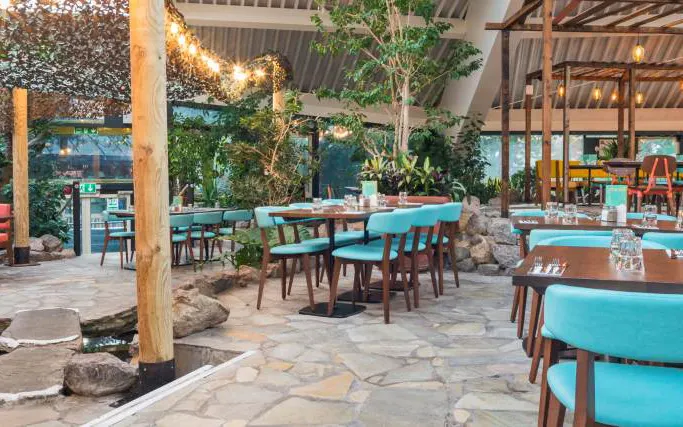 Colourful seating, tropical trees and streams at Las Iguanas Longleat Forest